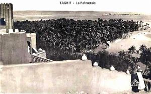 Taghit -La Palmeraie